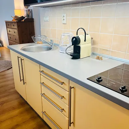 דירה Charming Studio In The Old Town ברטיסלאבה